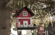 Outdoor & Garden Wood Items
